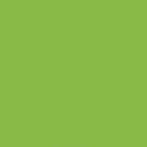 Vibrant Green Vertical Matte Laminate 4' x 8'