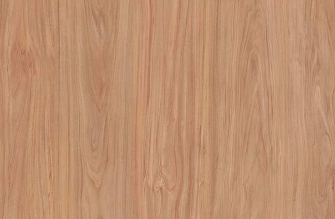 Santa Rosa Plum Tree 4x8 | DSI | Woodworking Supplies
